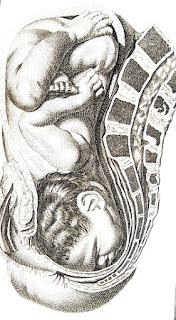 Face Presentation Spinning Babies Face presentation is not the same as posterior presentation. But a face presentation can be occiput posterior with the chin anterior.