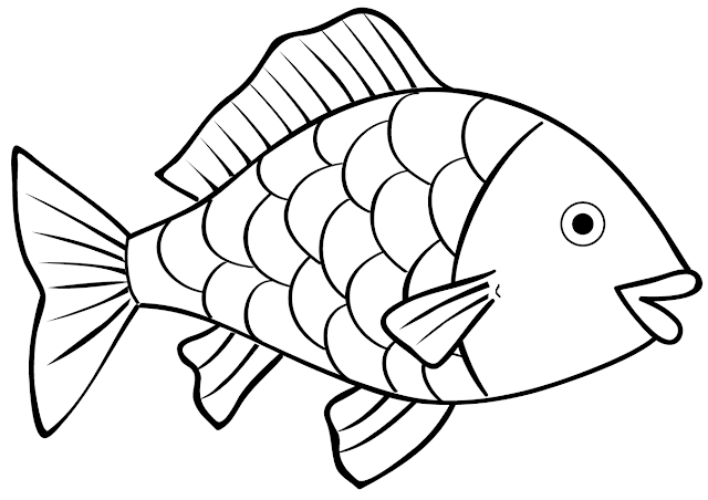 Gambar Kolam  Ikan  Koi  Sederhana Referensi Rumah Gambar di 