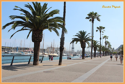 Descobrir Barcelona em 3 dias - 1º dia