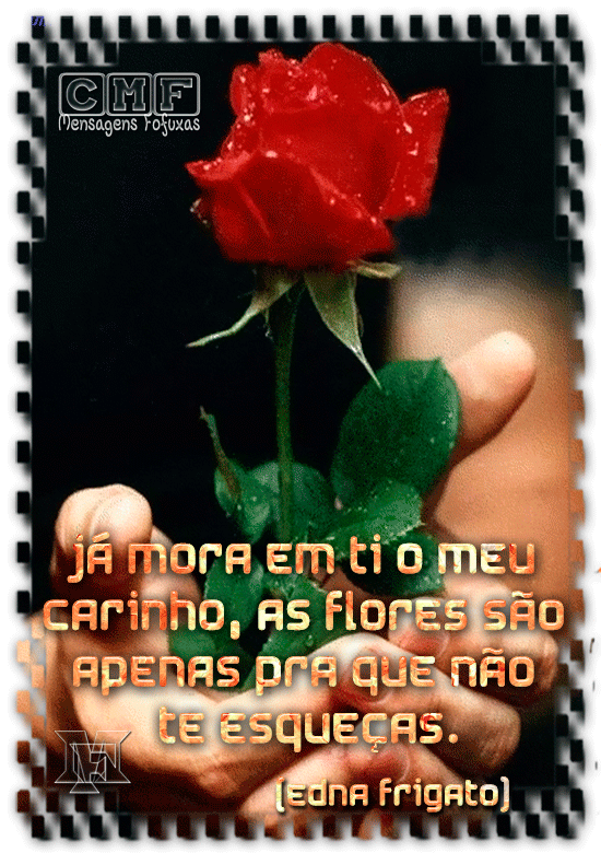 Rosa.gif