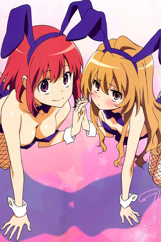 Japanese Anime Wallpaper toradora 4 wallpaper