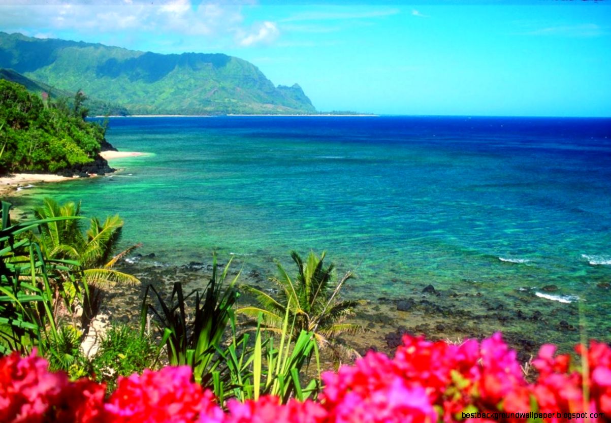 Hawaii Beach Wallpapers   HD wallpapers n