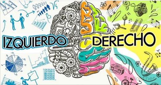 Test Cual Hemisferio Cerebral Domina Tu Vida Ortografia Literatura
