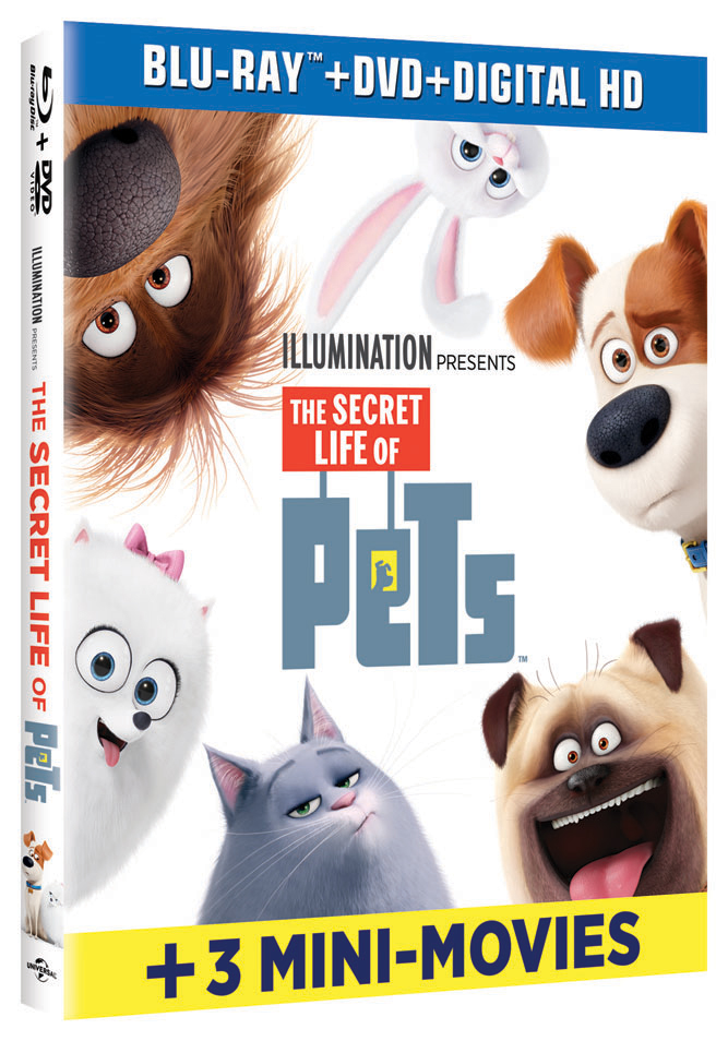 Popcorn & Coffee The Secret Life Of Pets Bluray Review Ramblings of