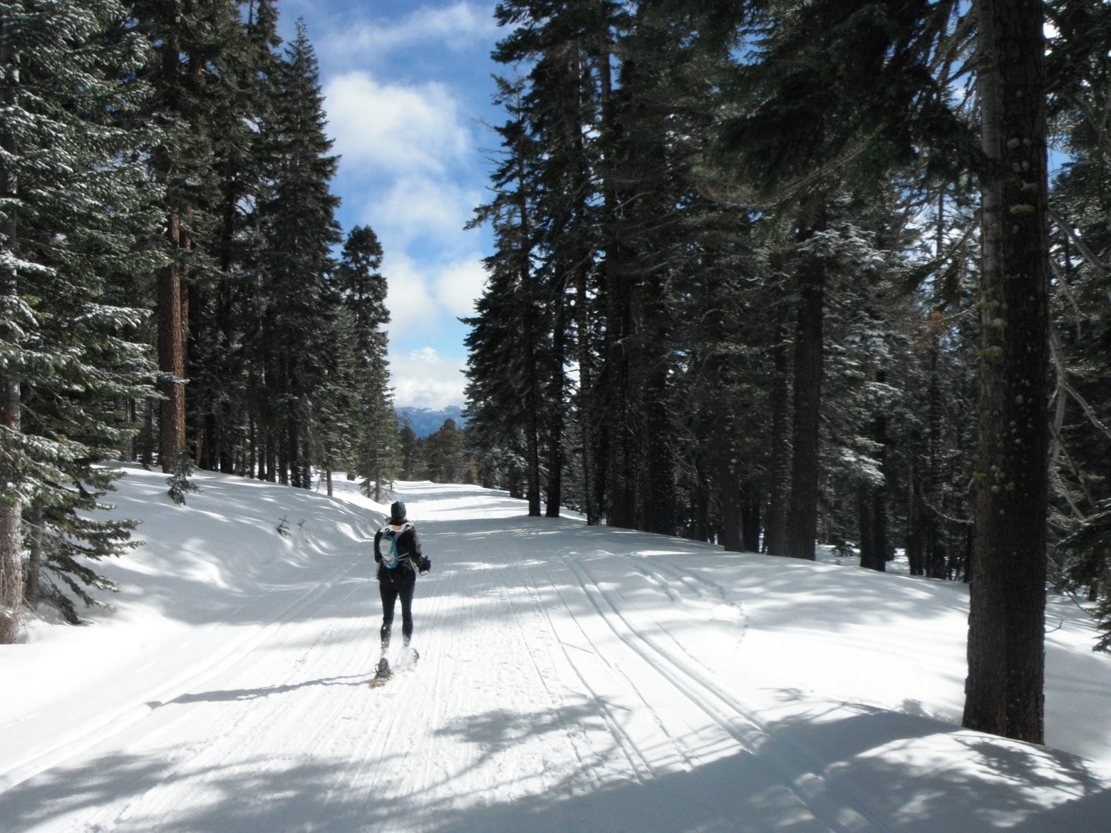 Daily Adventures Snowshoe Racing, Downton Abby, and the Iditarod