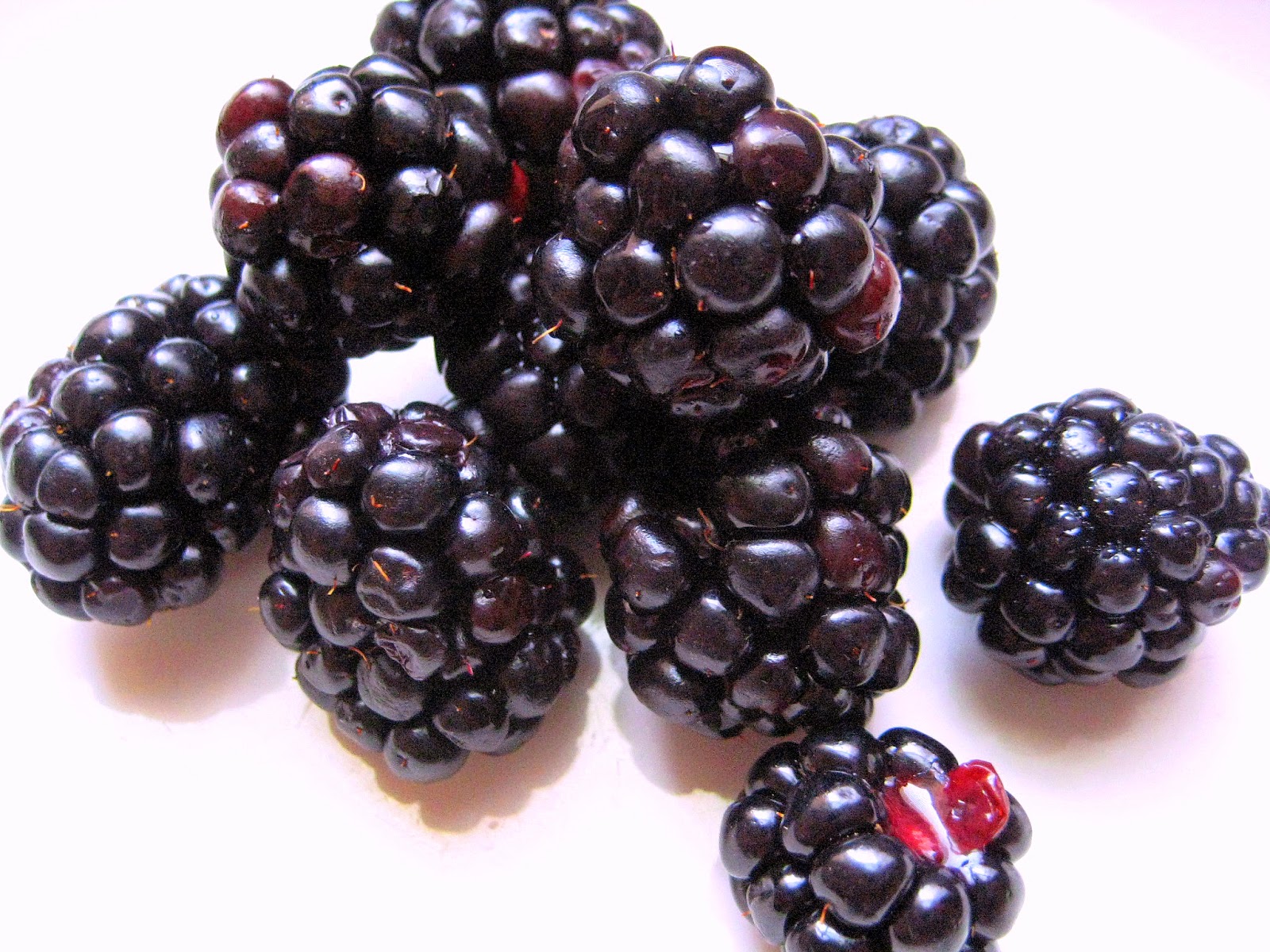 Blackberry Tea Benefits Healthy Tea 101