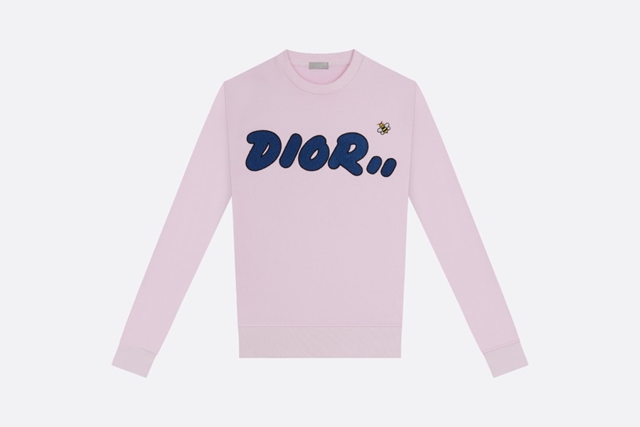 kaws x dior homme