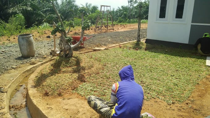 TIPS & TRIK MENGHIAS  RUMAH KECIL DENGAN TAMAN BONSAI BERINGIN