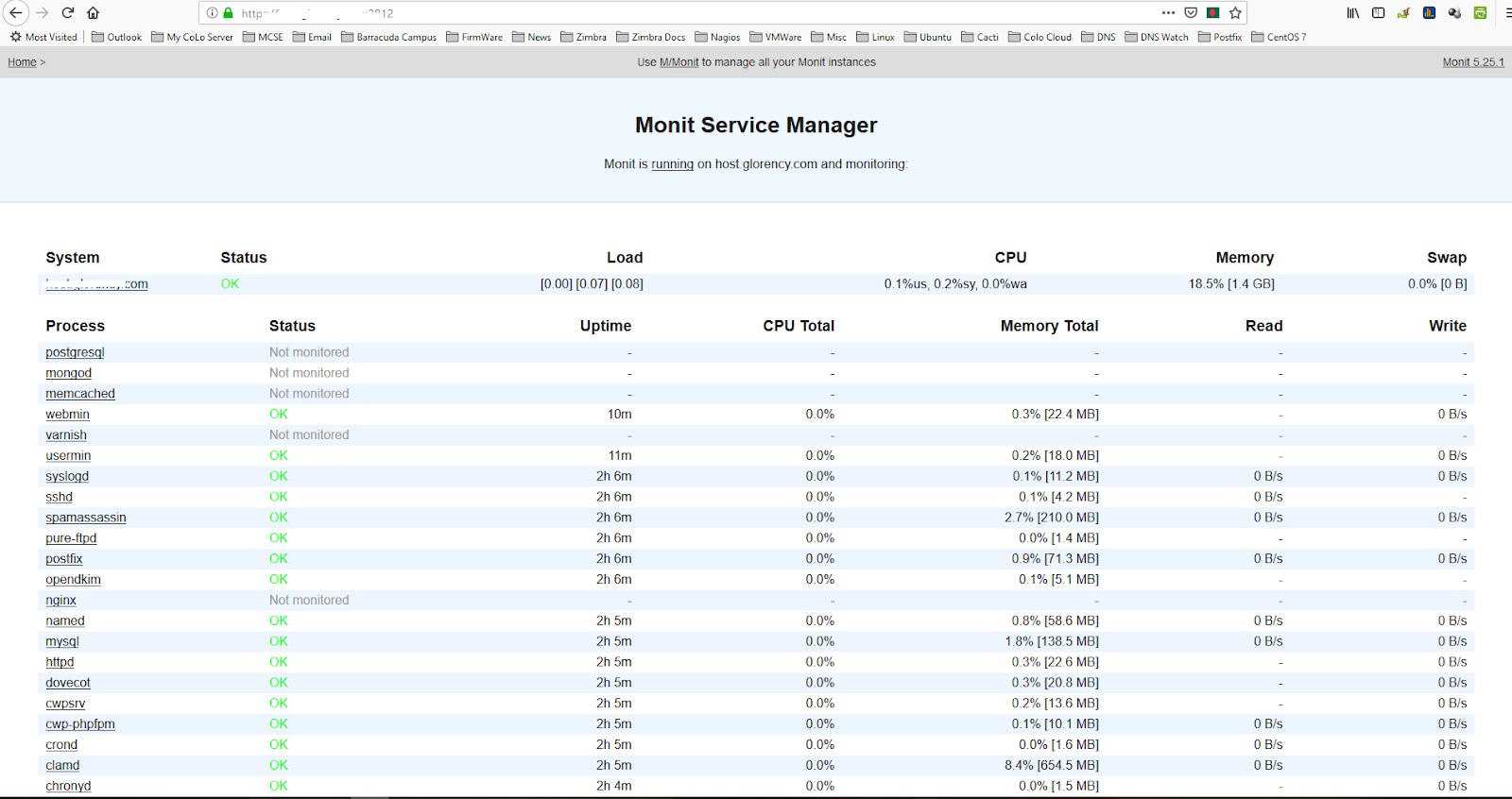 monit program service check monit program service check