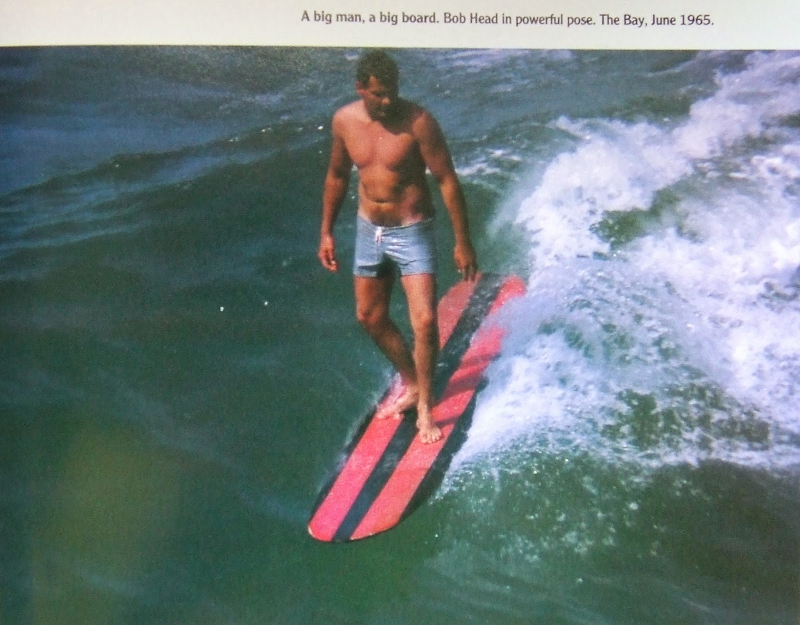 vintage surfboard collector UK Friendly Bear longboard by Bob Head