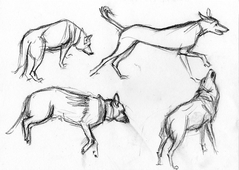 Чем отличается эскиз от наброска