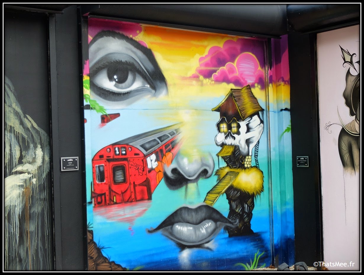 Visage femme street art Wynwood doors art district, Miami art Basel
