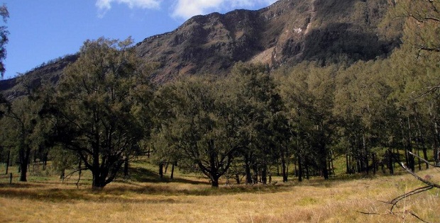 jadwal pendakian gunung arjuno ciran backpacker