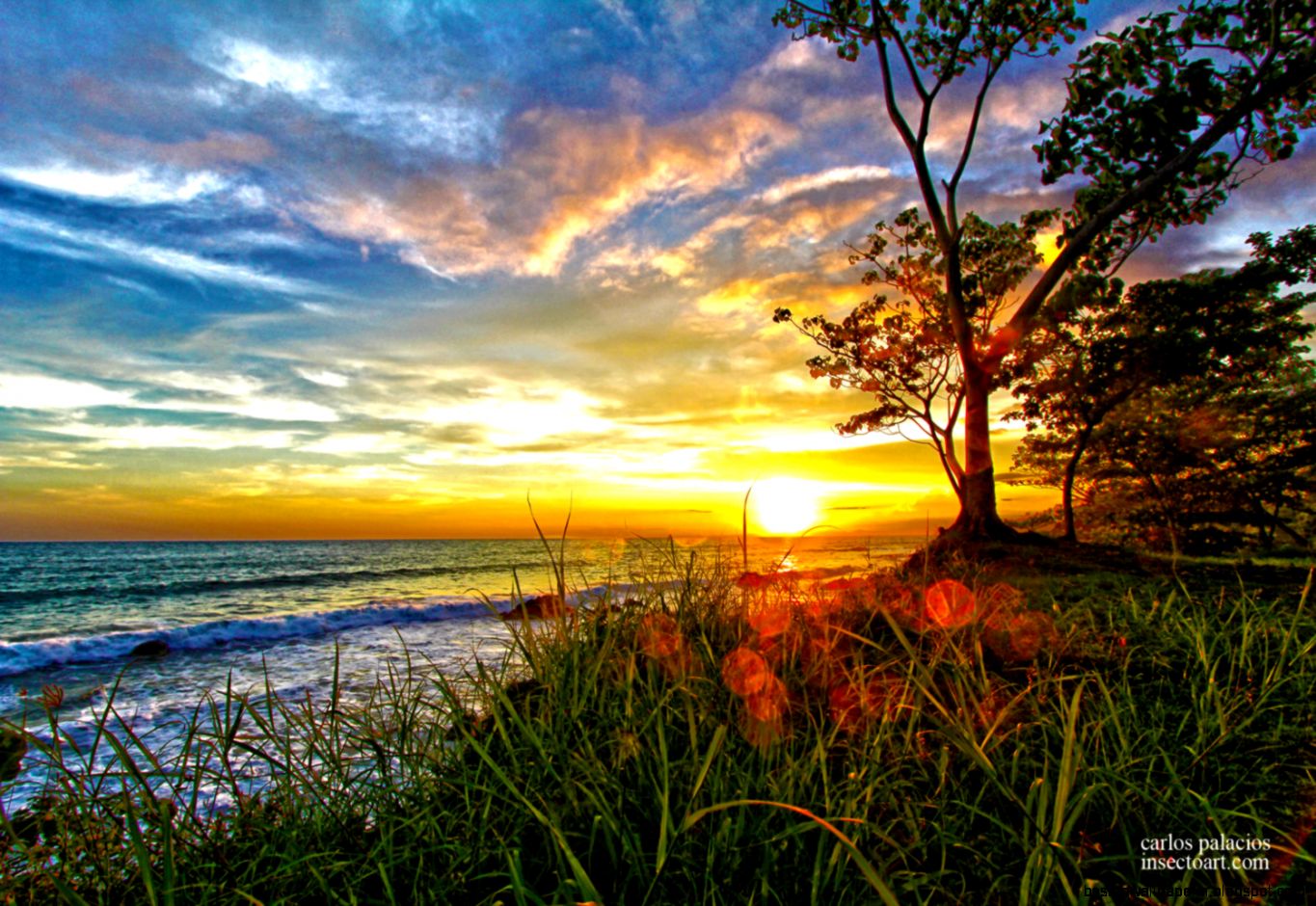 Nature Photography