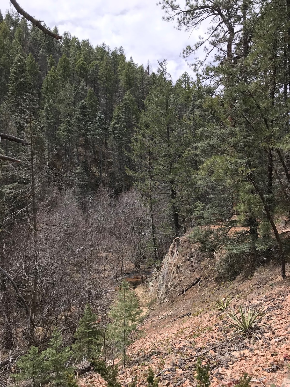 Southern New Mexico Explorer Winsor Trail (FT 254), Chamisa Trail ( FT