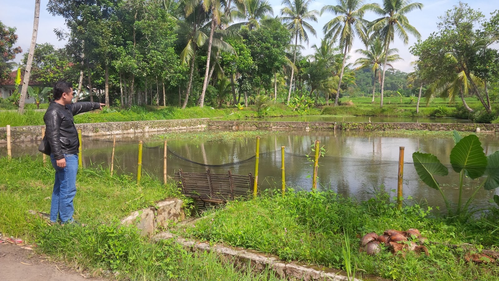 Dijual Kolam Ikan di Singaparna Tasikmalaya - Jual Tanah & Property