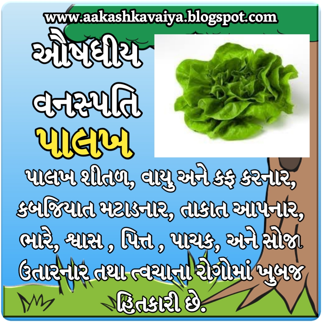 આયુર્વેદિક ઔષધ