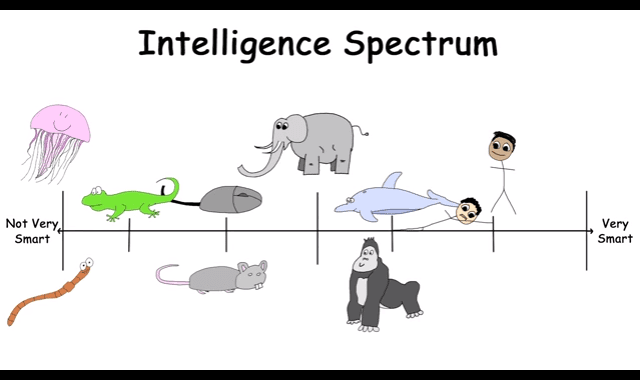 The Spectrum of Intelligence, Casually Explained #Video - Visualistan