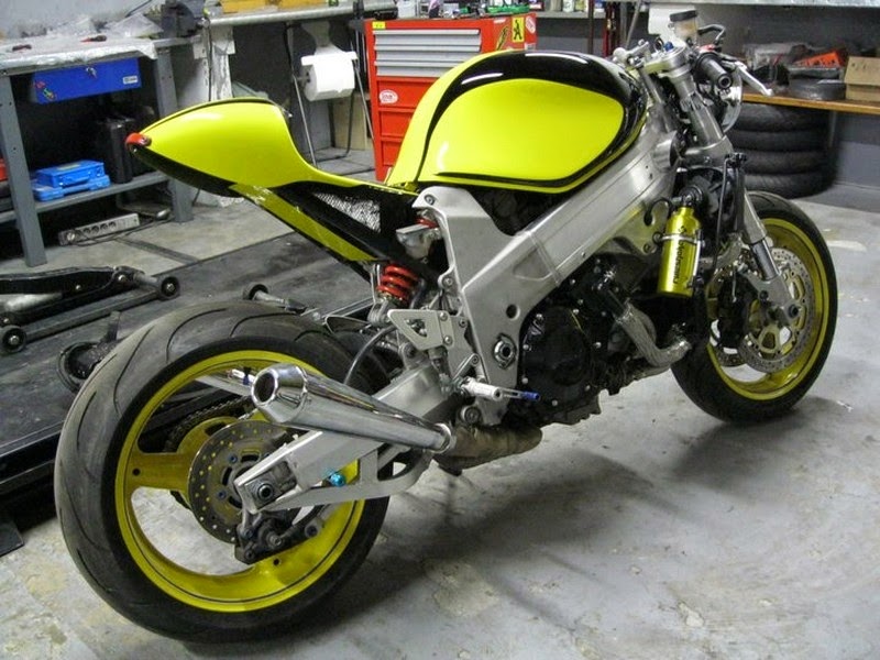 Suzuki tl1000 Custom