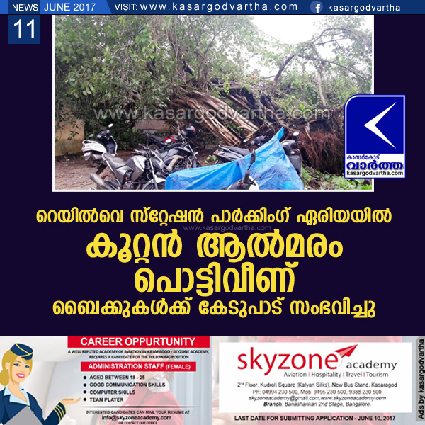 Kasaragod, Kerala, Cheruvathur, Bike, Railway station, Tree fallen; bikes damaged