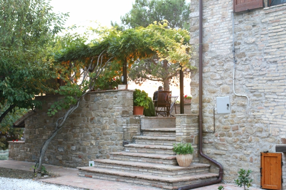 Training Our Wisteria Diy Pvc Pipe Garden Arbor 17 Apart