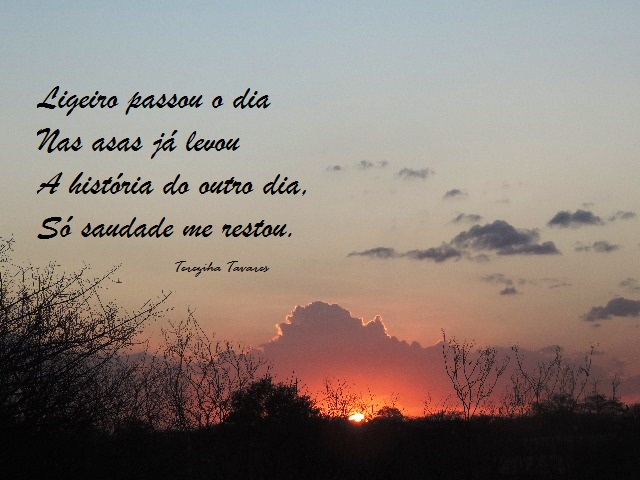 Terezinha Tavares Agosto 18