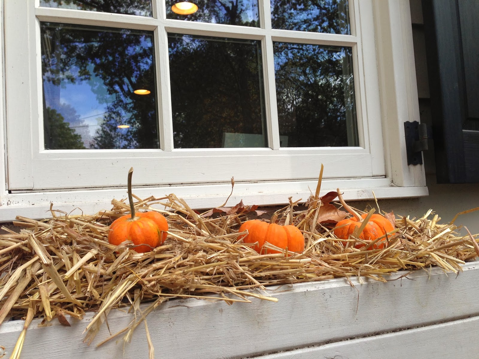 Pretty Little Things by The Paper Cottage Supereasy fall window boxes