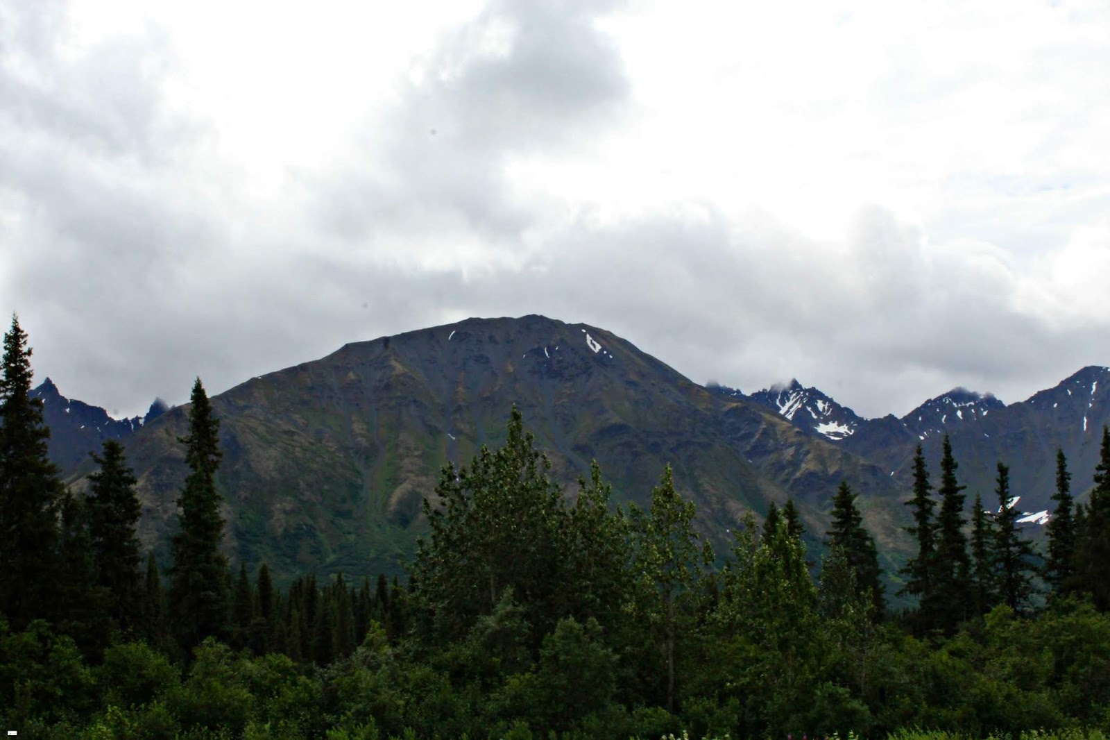 The Drive to Cantwell in the Denali State Park // Alaska Caravan