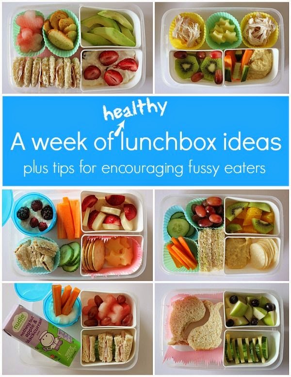 Stay at Home Territory: The Winning Formula for School Lunchboxes