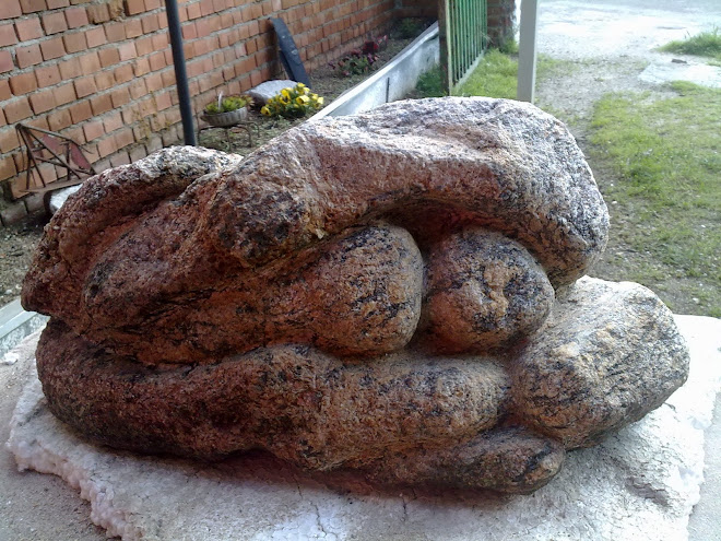 Piedra ofuscada, rebelde, sumergida en el paleolitico de su historia cincelada.