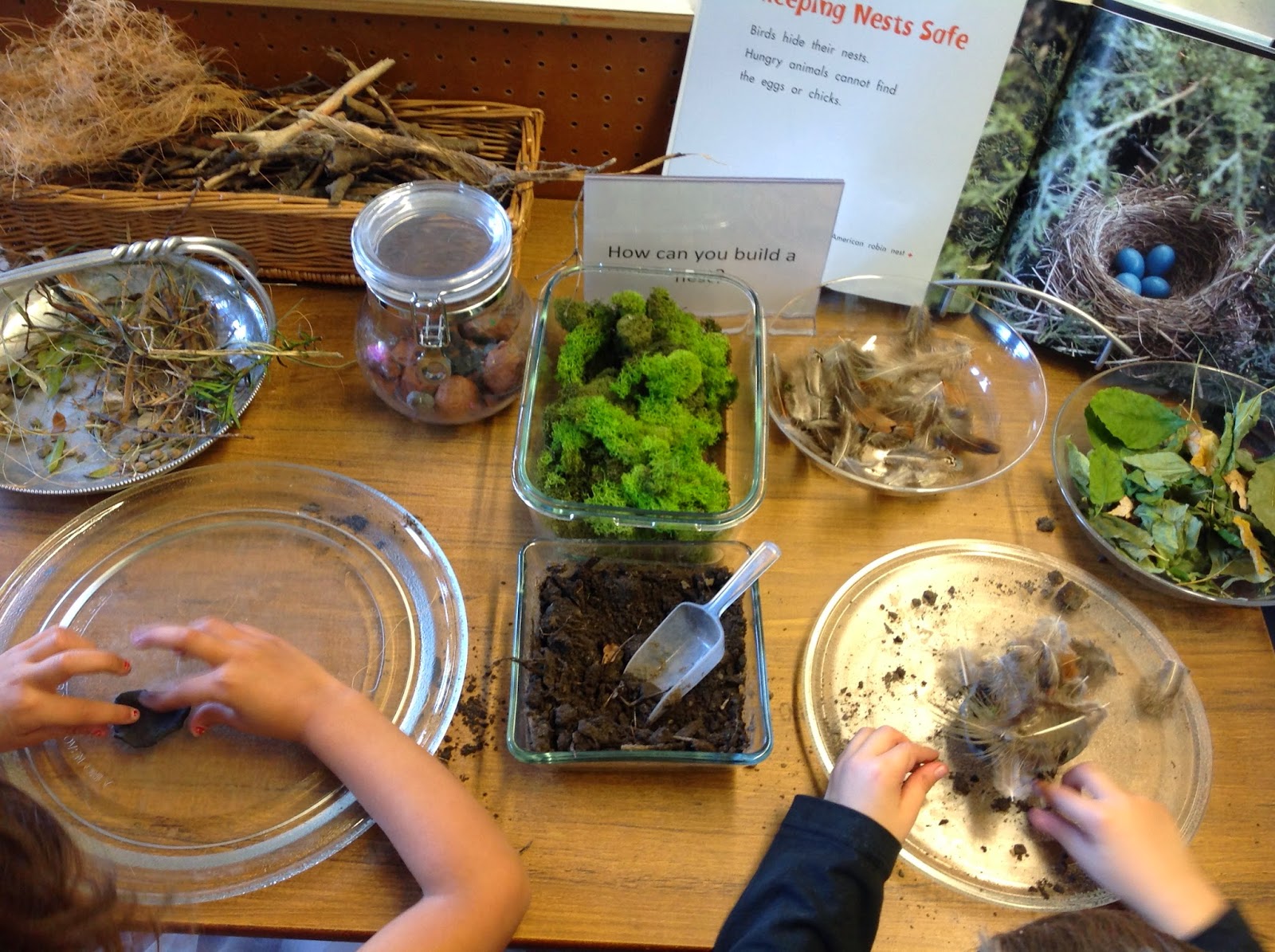 Wonders in Kindergarten How do birds make nests?