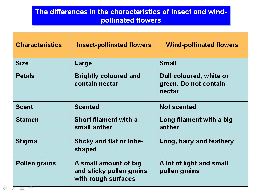 SMK Datuk Menteri SAINS PMR 4.16 Comparing the characteristics of