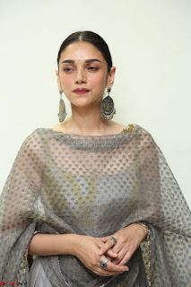 Aditi Rao Hydari looks Beautiful in Sleeveless Backless Salwar Suit 008