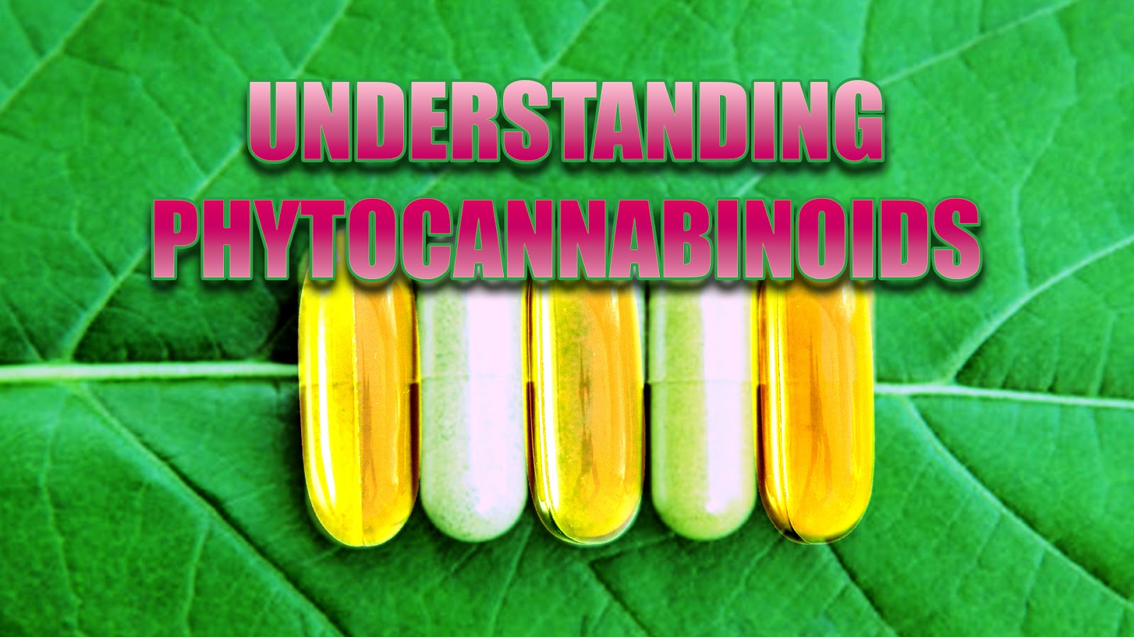 Understanding Phytocannabinoids
