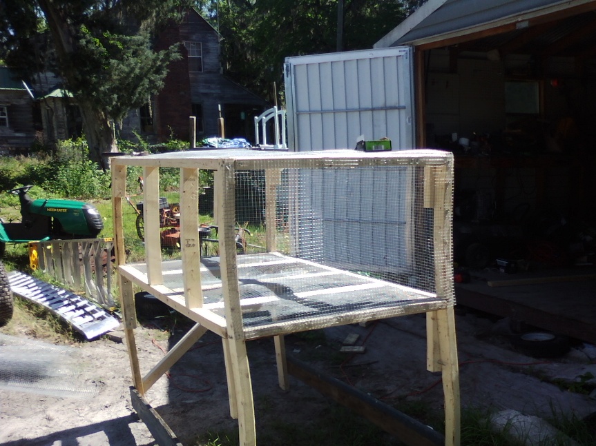 Spring Baby Chick pen