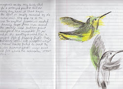 birds backwards fly vicky willmott