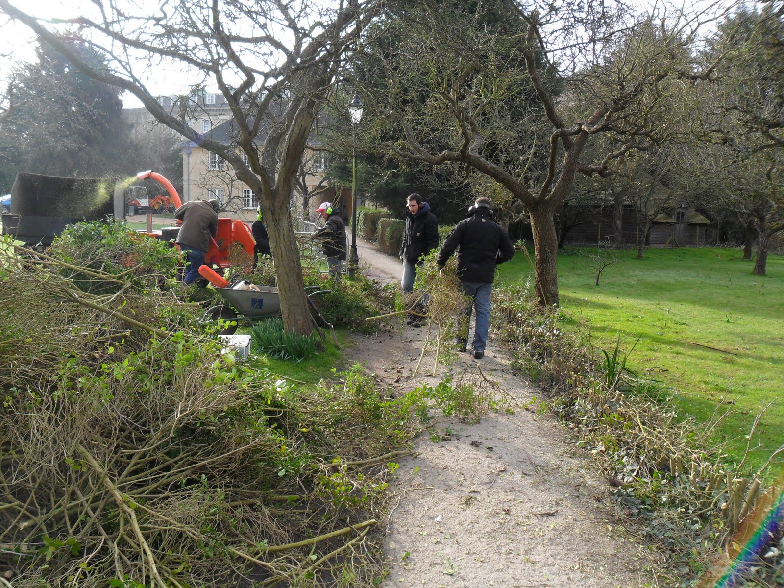 Worcester College Gardeners 2009-2018: Privet Hedge