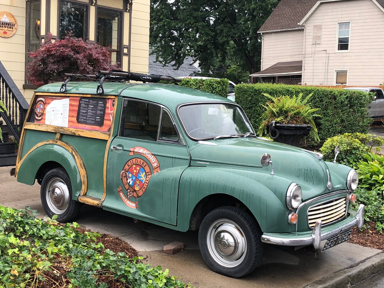 Teena in Toronto O'Maggio's Kildare House, Windsor, ON