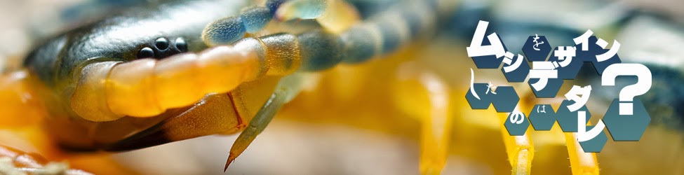 ムシをデザインしたのはダレ?: ムシをデザインしたのはダレ? タイトル集2013