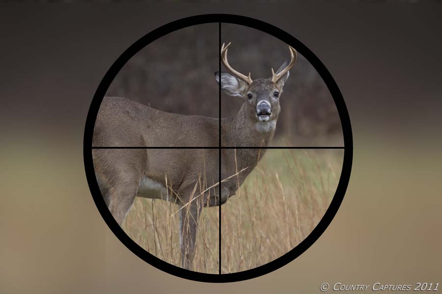 Country Captures Pennsylvania Antler Restrictions My Opinion