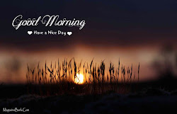 morning quotes nice messages text friends wishgoodmorning quotesgram inspirational