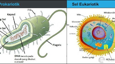 Pengertian dan Fungsi Repeater dalam Jaringan Komputer