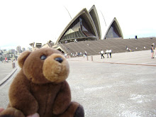 Teddy Bear in Sydney,Australia