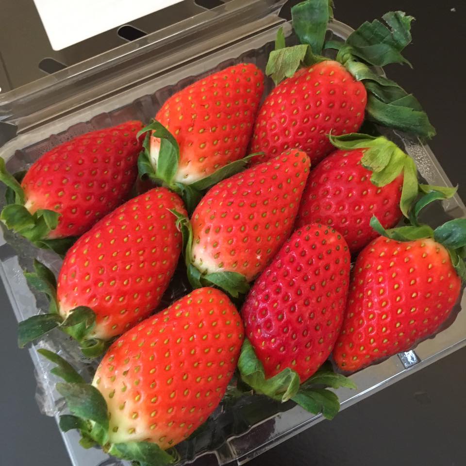 Fresh Korean strawberry at The Juice Jar, Pelita Miri Miri Food Sharing
