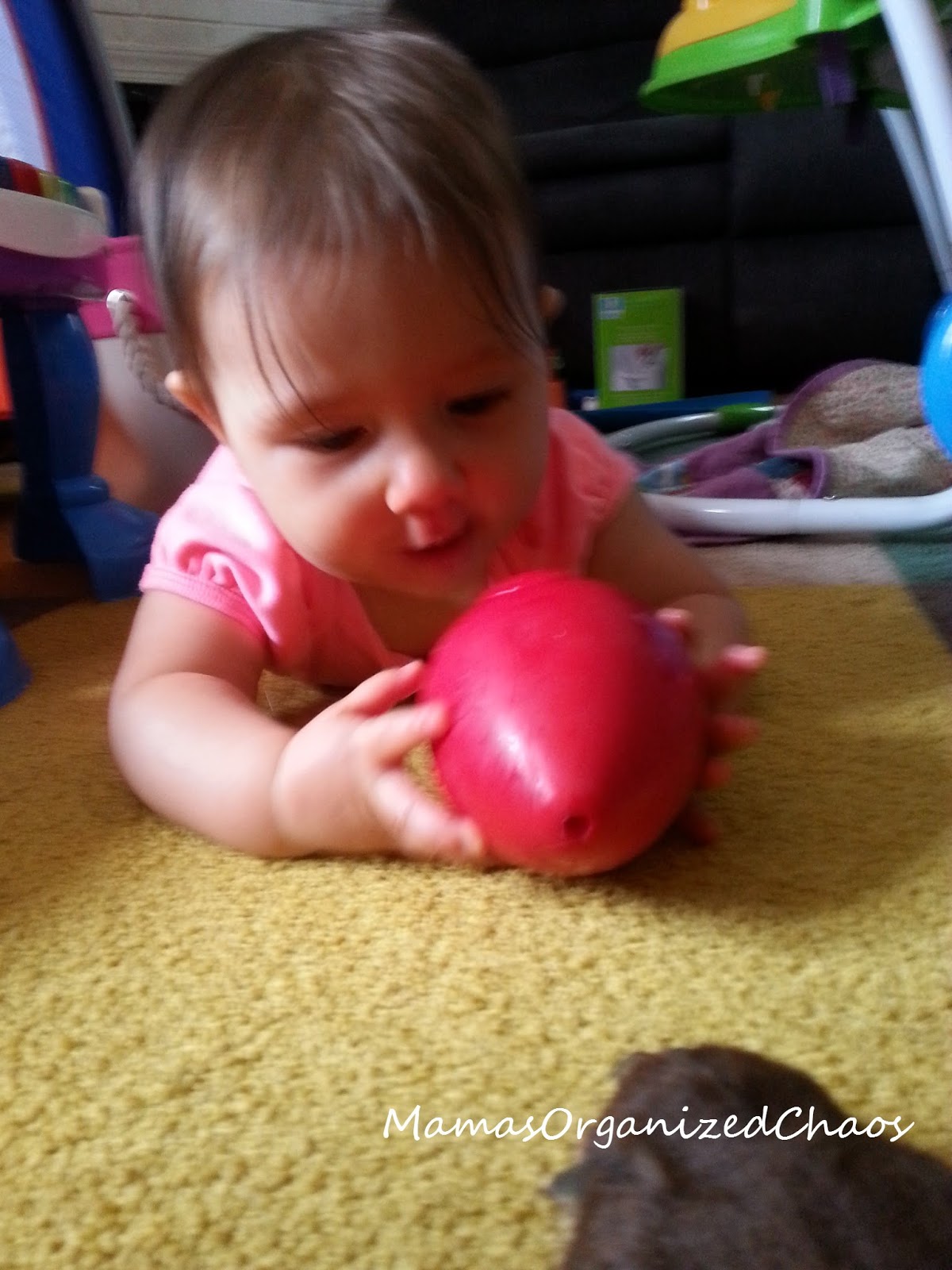 MONTH 7 SCHEDULE Babywise schedule month 7: for baby around 7 months of age. On this page you'll find schedules, information on naps, nighttime sleep, and more!