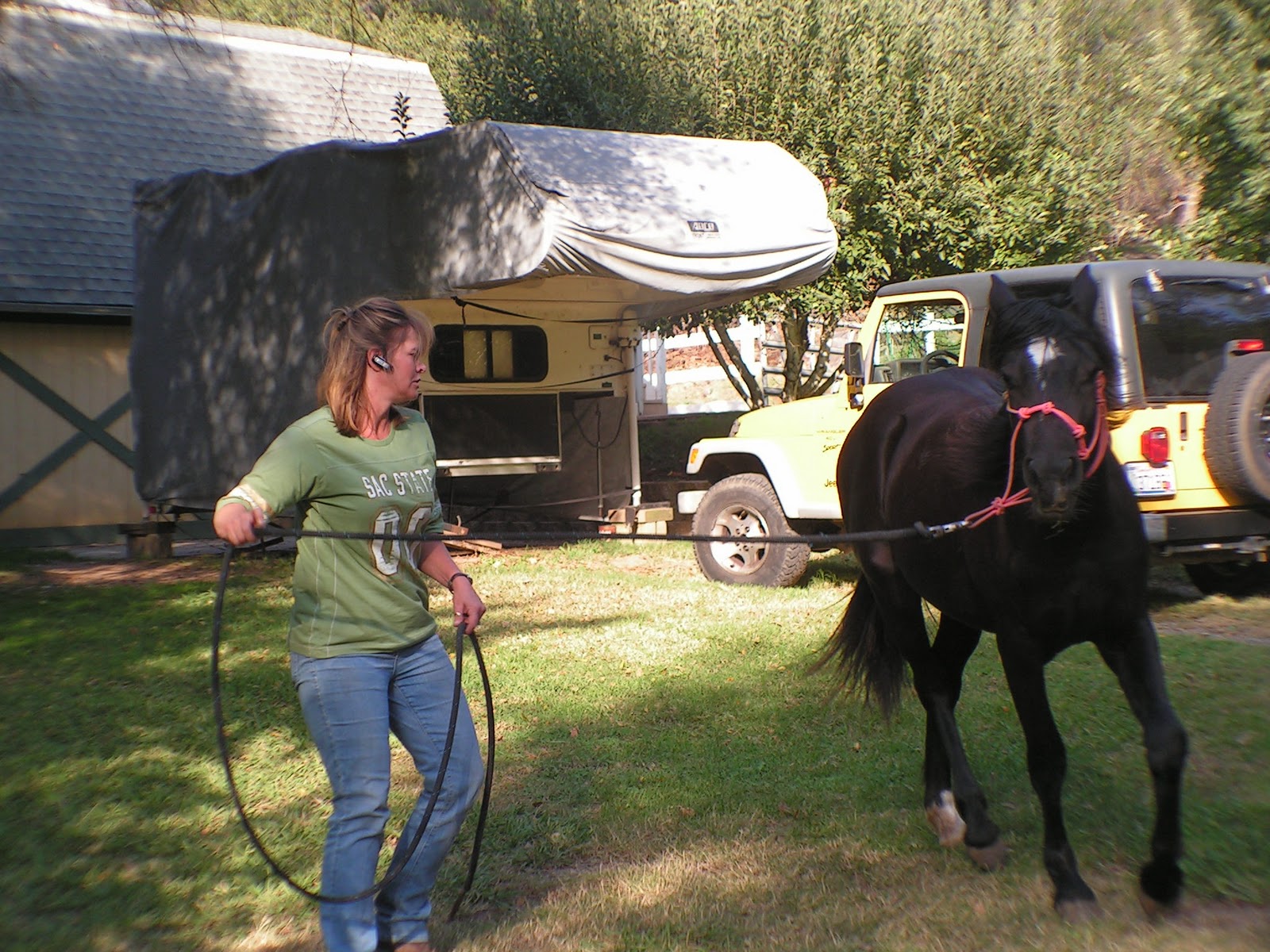 The Good Horse Keeper How to take care of horses Horse Health