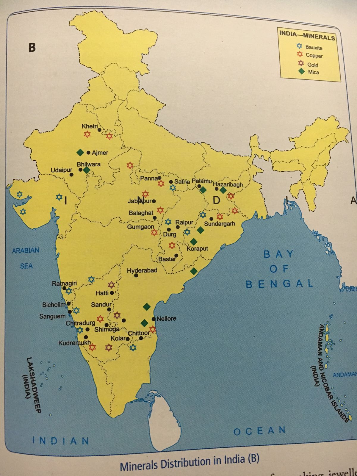 Social Science Geography class 8 SAII maps