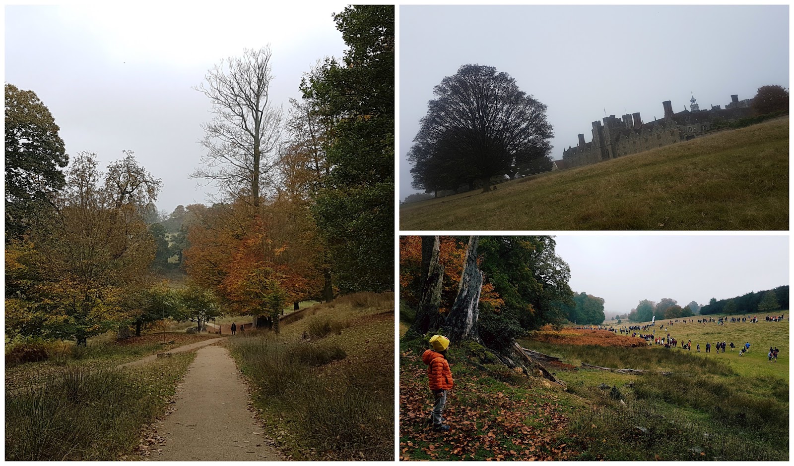 knole park cycling