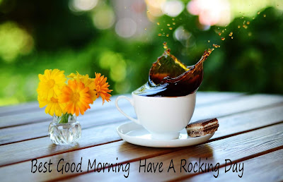 good morning good morning
