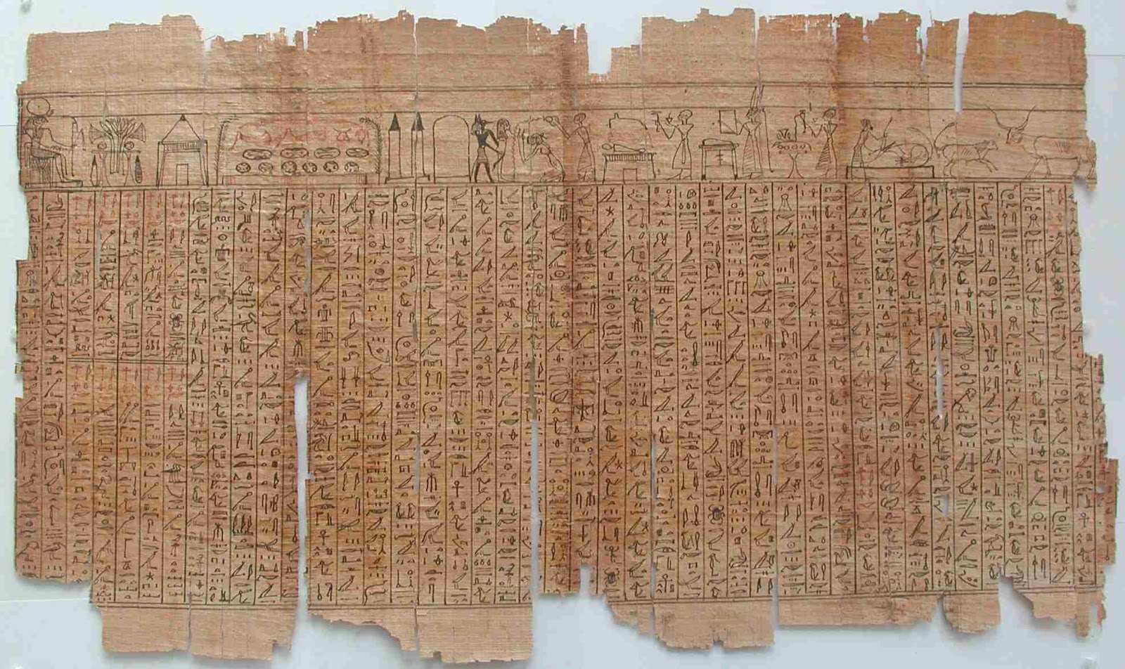 Растение на котором писали первые книги. Папирусные свитки древнего Египта. Папирус в древнем Египте. Папирусный свиток в древнем Египте. Свиток папируса древний Египет.